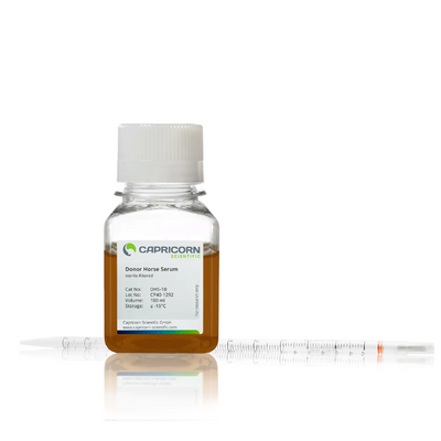 Donor Horse Serum, thermally inactivated DHS-1B фото