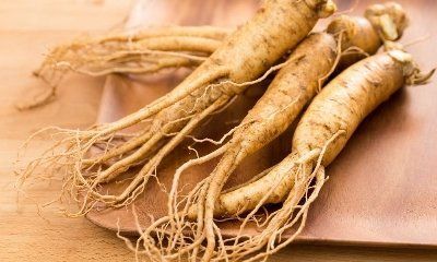 Ginseng Extract KC-0022 фото